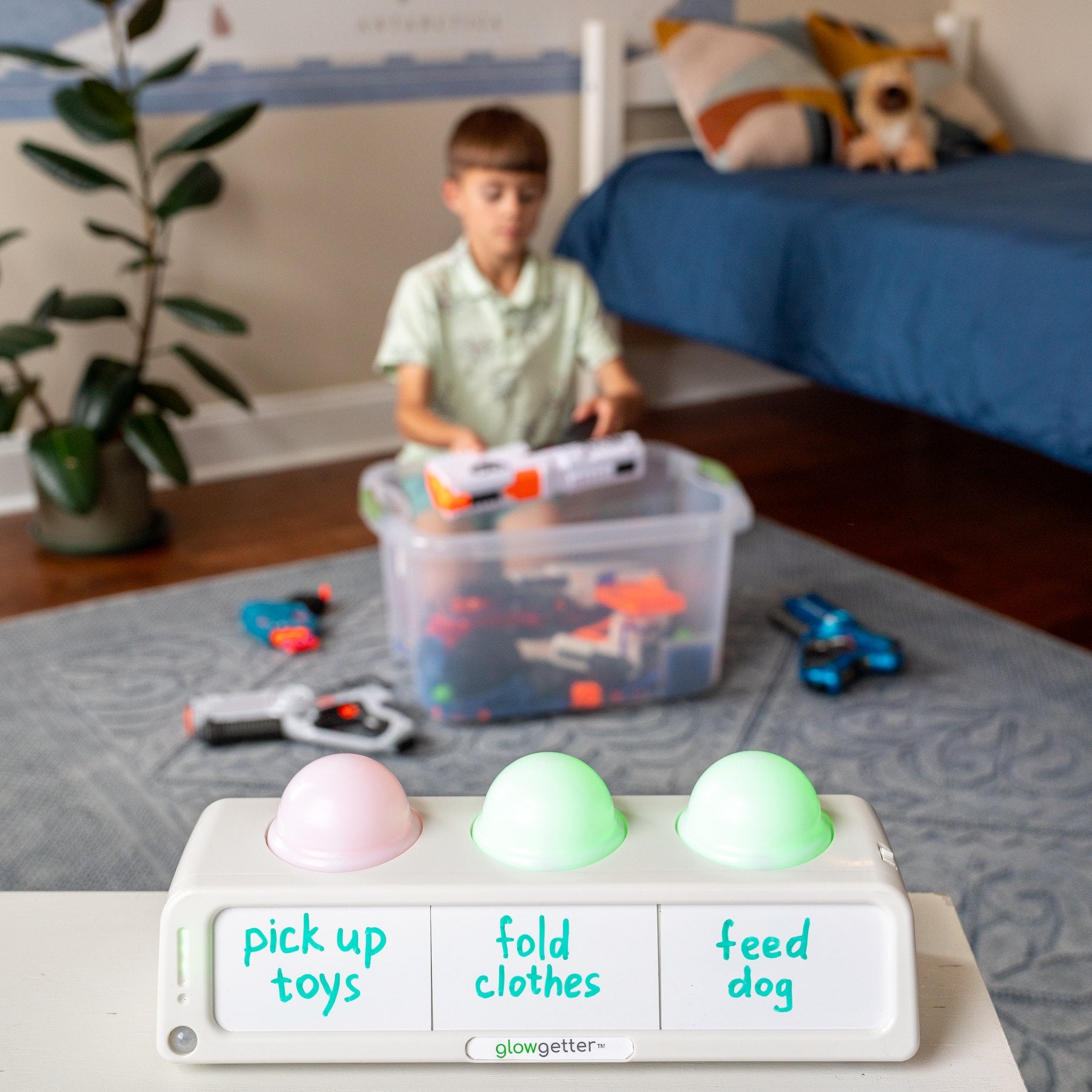 A child using the glowgetter to help pick up room, fold clothes and take care of peta routine board for feeding the dog, picking up toys, and folding clothes.